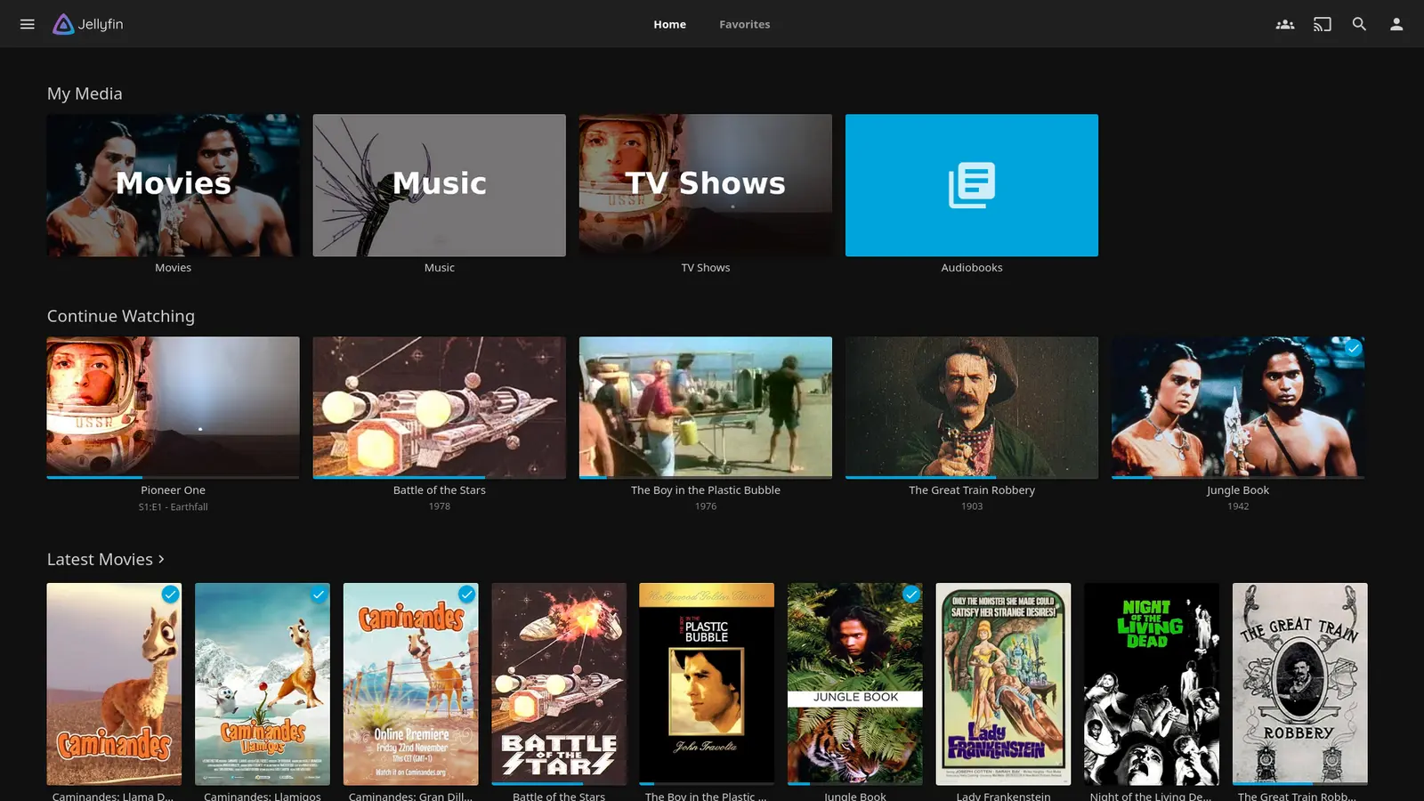 Jellyfin home screen showing a household movie and television library.
